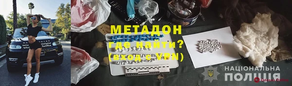 шишки Осинники