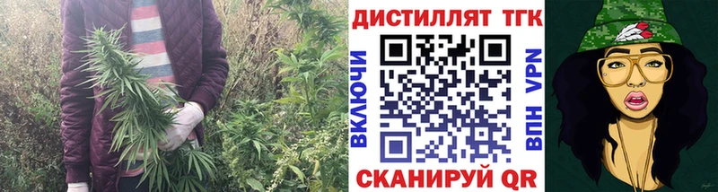 ТГК вейп  гидра сайт  Шебекино 