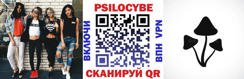 купить закладку  Шебекино  Галлюциногенные грибы прущие грибы 