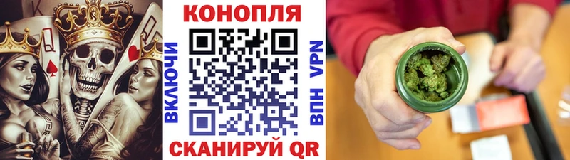 Марихуана план  Шебекино 